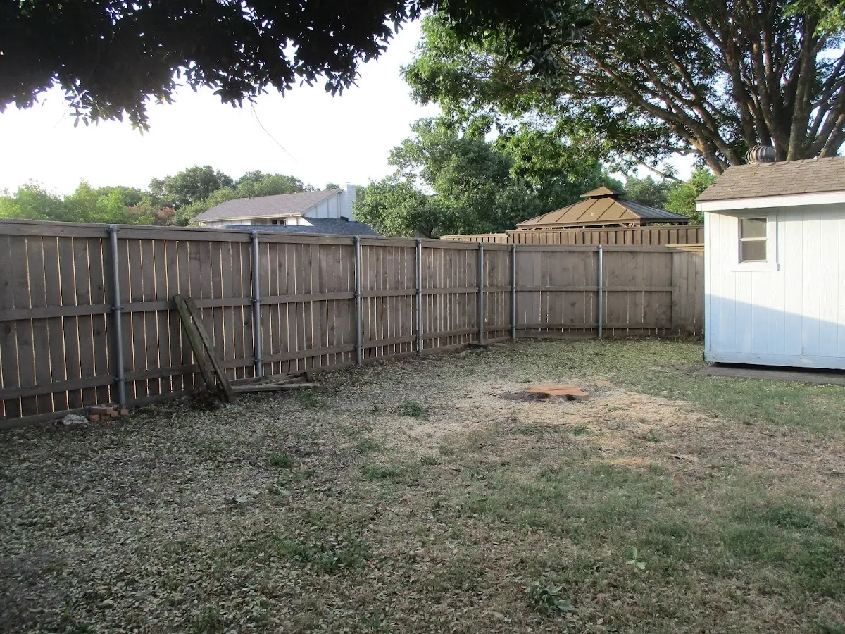 Cleared yard after professional tree removal in Counselor